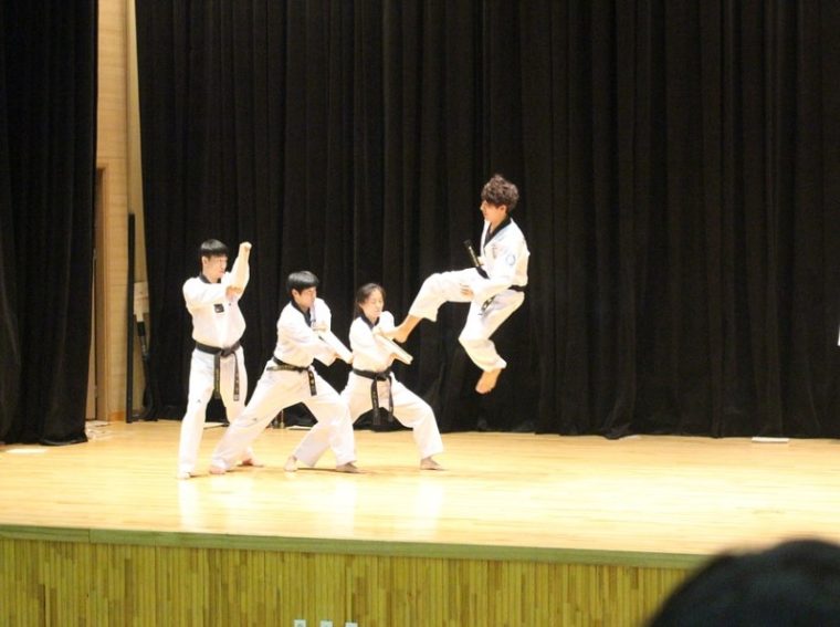 Teknik Dasar Taekwondo