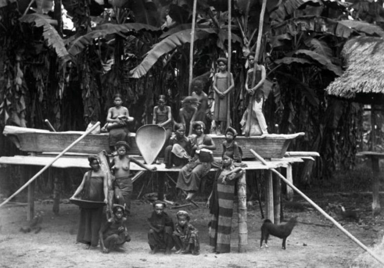Ras Proto Melayu