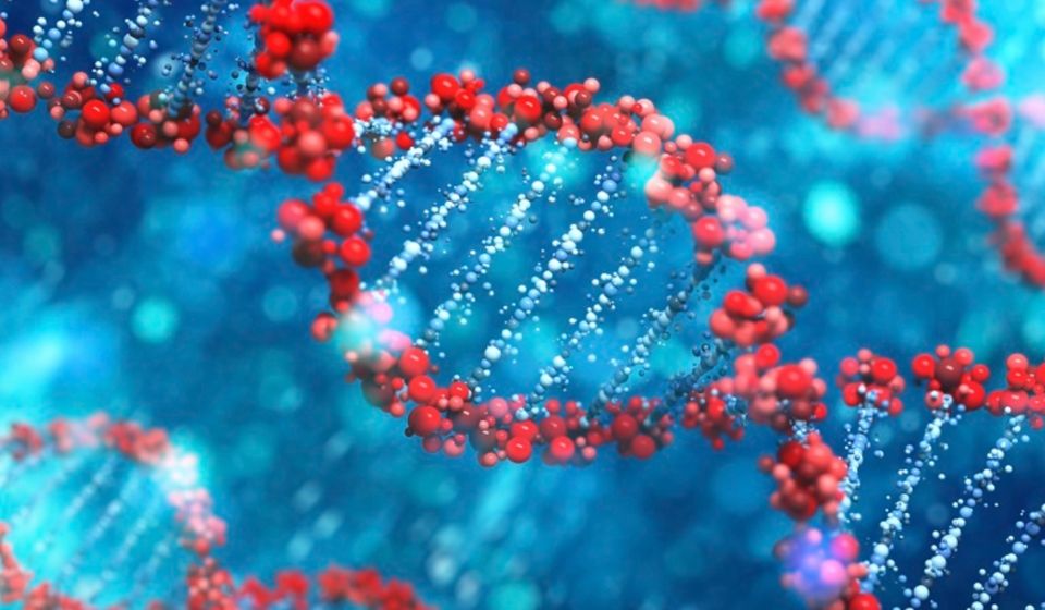 Tabel DNA Dan RNA