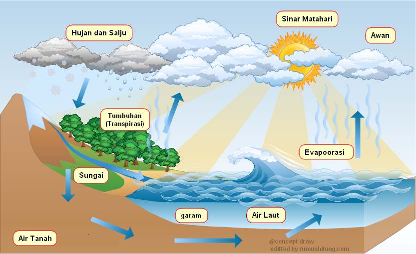 Siklus Hidrologi - Pengertian, Proses, Jenis-Jenis, dan Urutan Siklusnya