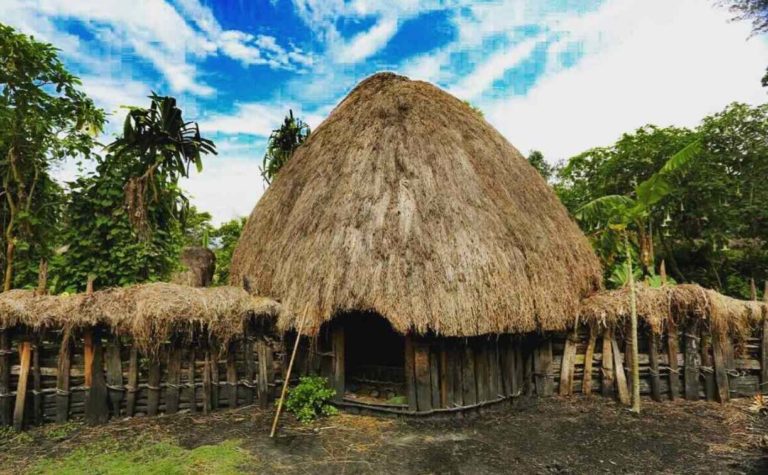 7 Jenis Rumah Adat Papua Lengkap Nama Dan Gambar Pahl