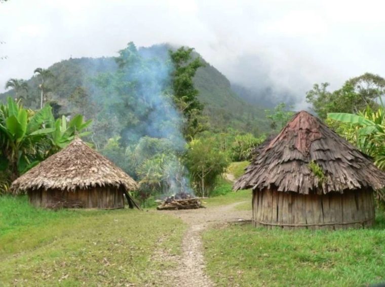 Rumah Adat Papua Wamai