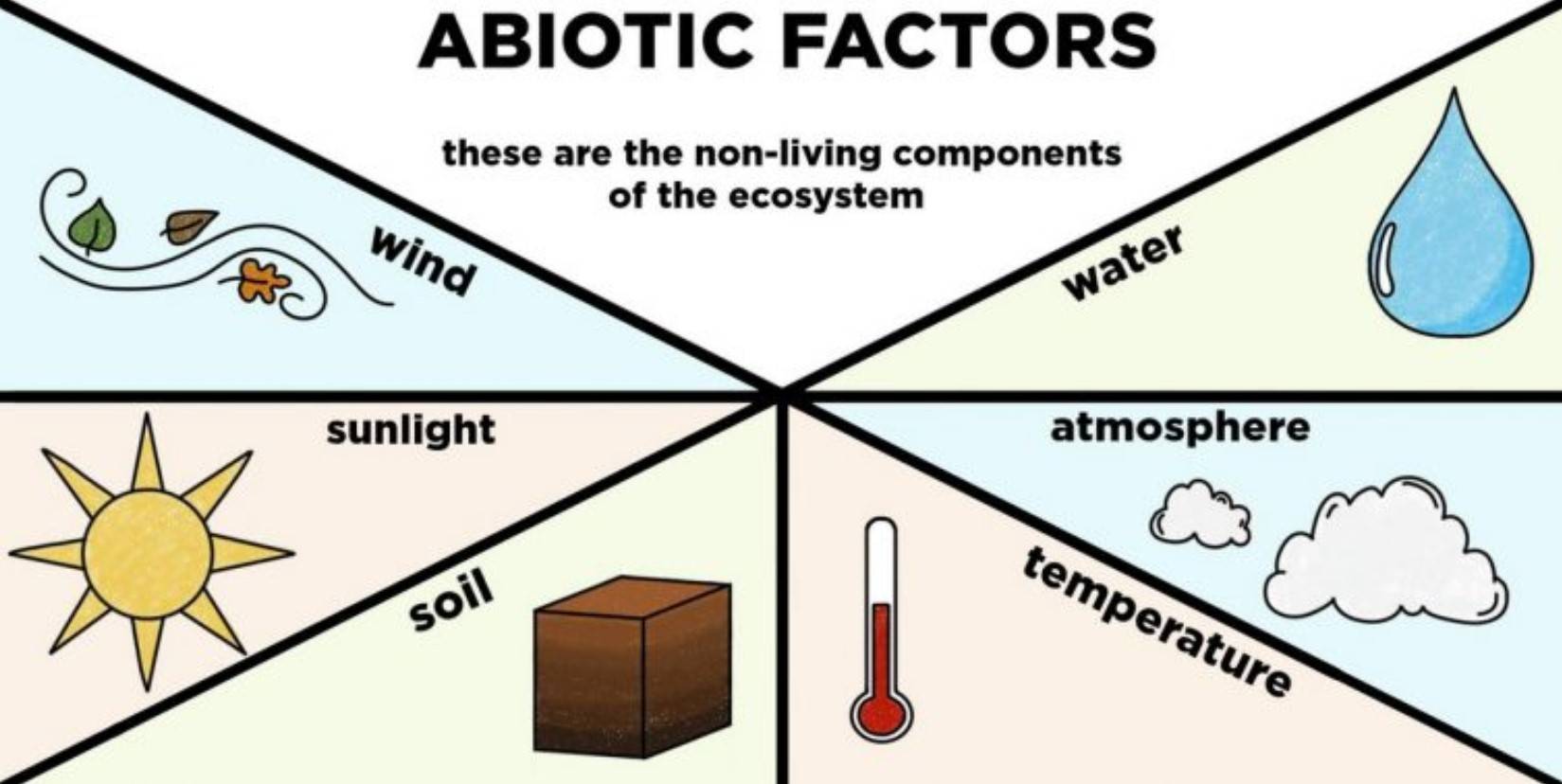 Mengenal Komponen Biotik Dan Abiotik Beserta Contoh Riset