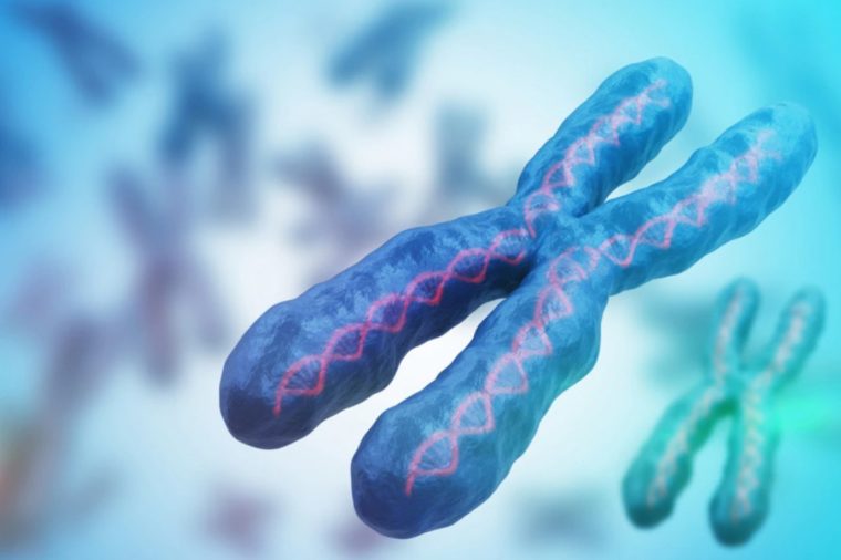 Mutasi Kromosom